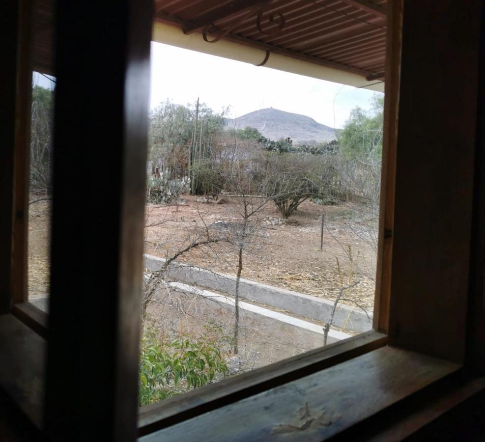 Posada Casa Del Minero Pozos  Ngoại thất bức ảnh